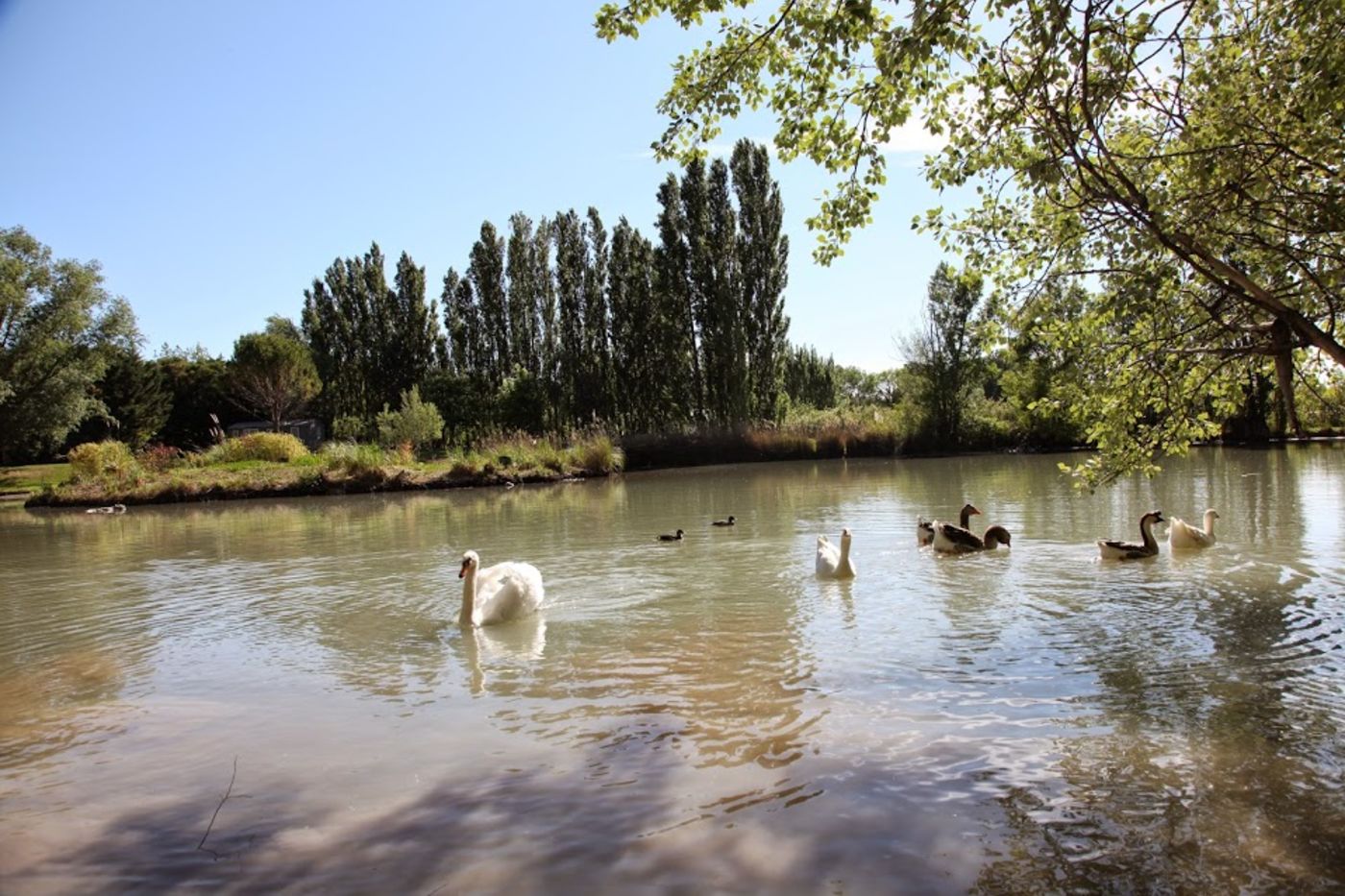 Maison et chambres d'hôtes en Provence - Alleins, Bouches du Rhone