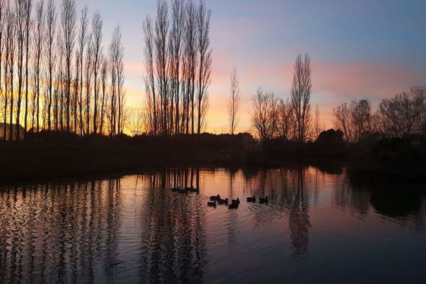 Domaine de Mejeans - Maison et chambres d'hôtes - Provence - Alleins - Bouches du Rhône