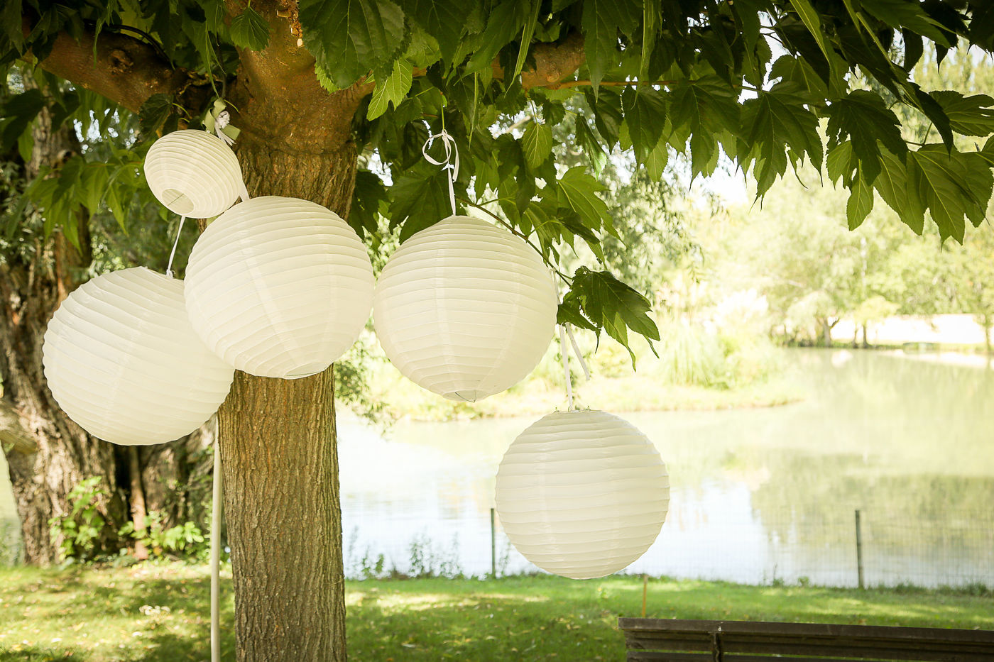 Domaine de Mejeans - Maison et chambres d'hôtes - Provence - Alleins - Bouches du Rhône