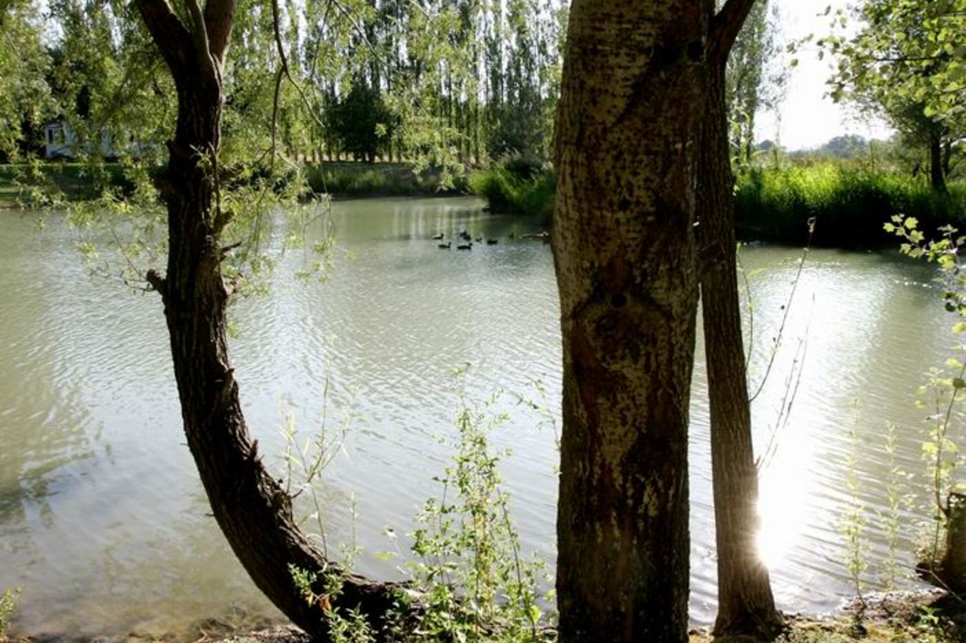 Domaine de Mejeans - Maison et chambres d'hôtes - Provence -Alleins - Bouches du Rhône