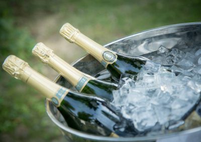 Domaine de Mejeans - Maison et chambres d'hôtes - Provence - Alleins - Bouches du Rhône