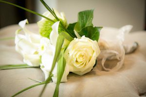 Domaine de Mejeans - Maison et chambres d'hôtes - Provence - Alleins - Bouches du Rhône