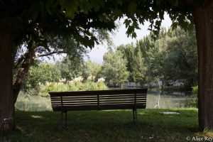 Domaine de Mejeans - Maison et chambres d'hôtes - Provence - Alleins - Bouches du Rhône