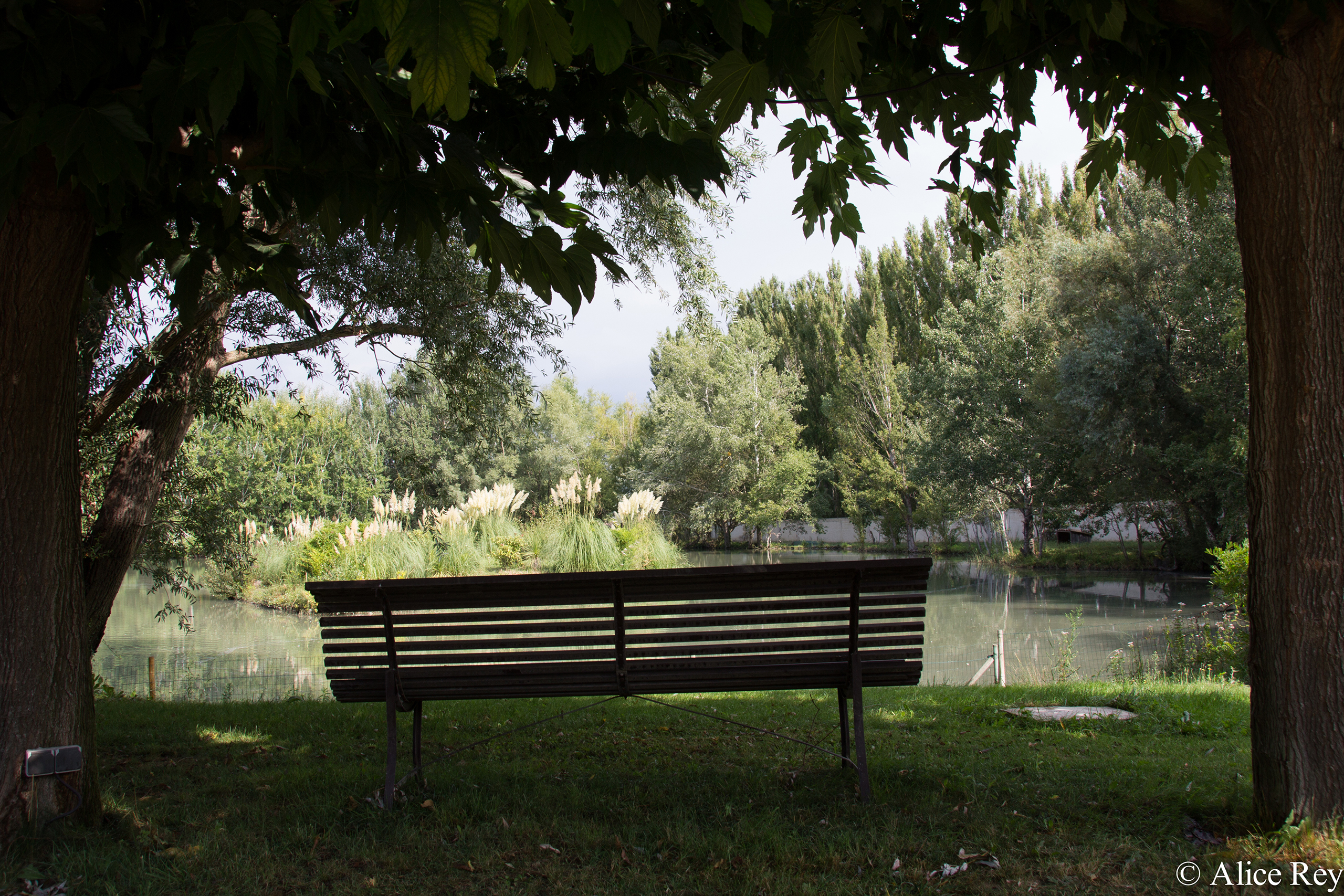 Domaine de Mejeans – Maison et chambres d’hôtes – Provence – Alleins – Bouches du Rhône Domaine de Mejeans - Maison et chambres d'hôtes - Provence - Alleins - Bouches du Rhône